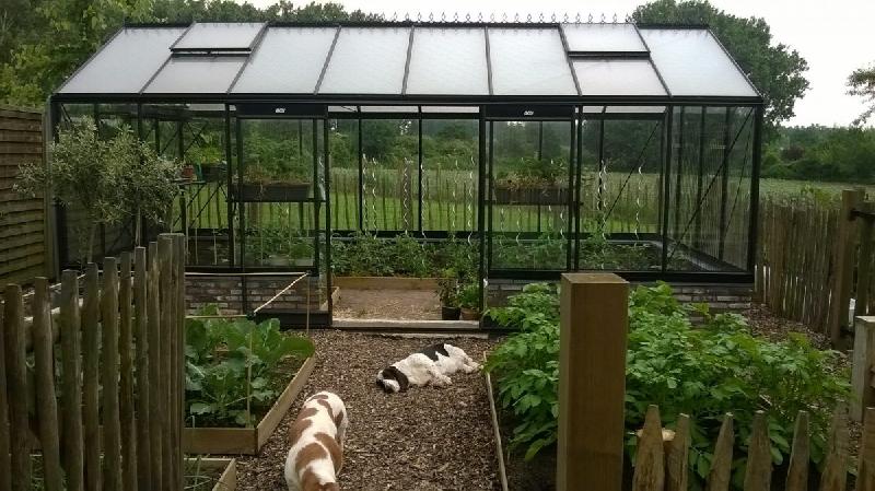 R3 serres à parois droites - verre sécurit 4 mm - structure aluminium - porte coulissante spacieuse_1