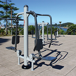 Élévateur et flexion des bras - Mobilité des muscles et flexibilité des articulations - Agrès fitness en acier poudré_1