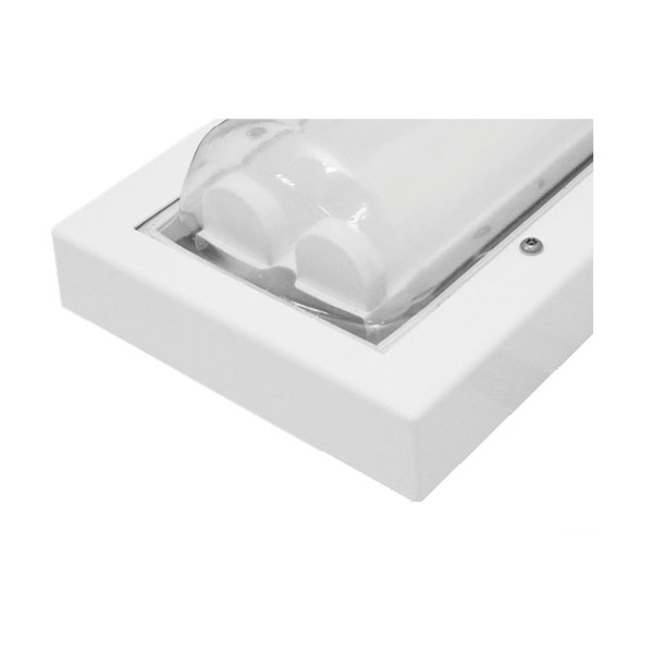 Eclairage industriel conçu pour les prisons, les hôpitaux psychiatriques, les gymnases et les zoos - reglette led salgo ff_1