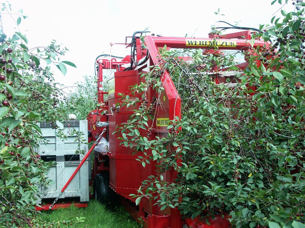 Récolteuse de cerises et prunes FELIX Z - Weremczuk - 80 HP min - Vitesse 0,5 à 1 km/h - Plateforme 1500 kg_2