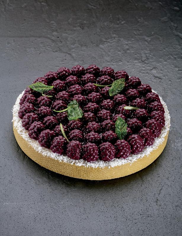 Raven - Moule en silicone Pavoni Italia - 380 ml_1