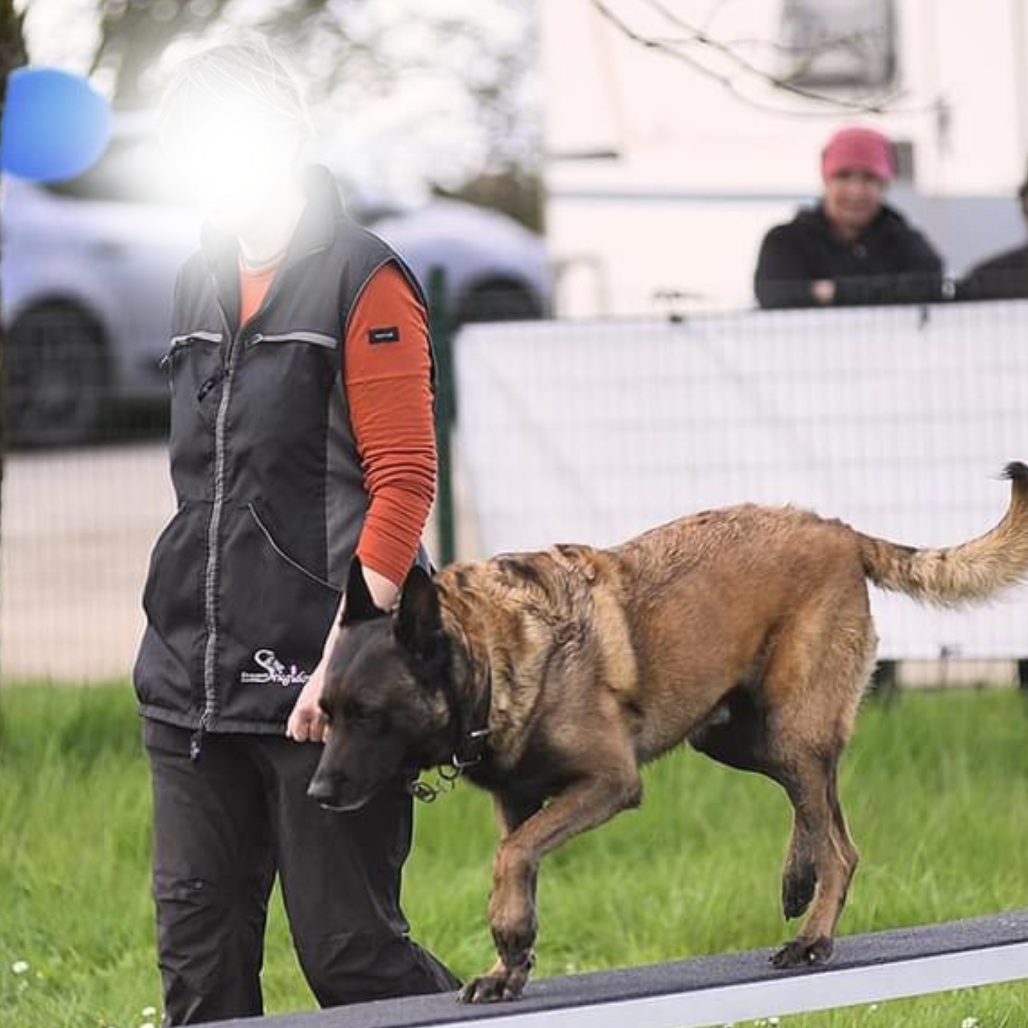 Pont mobile pour le sport canin - Normes FCI - Finitions en acier ou aluminium - Surface antidérapante_1