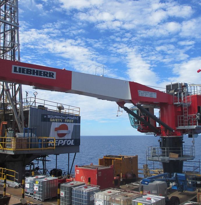 Rl 650 grue portuaire offshore - liebherr - capacité de levage max 25t_1