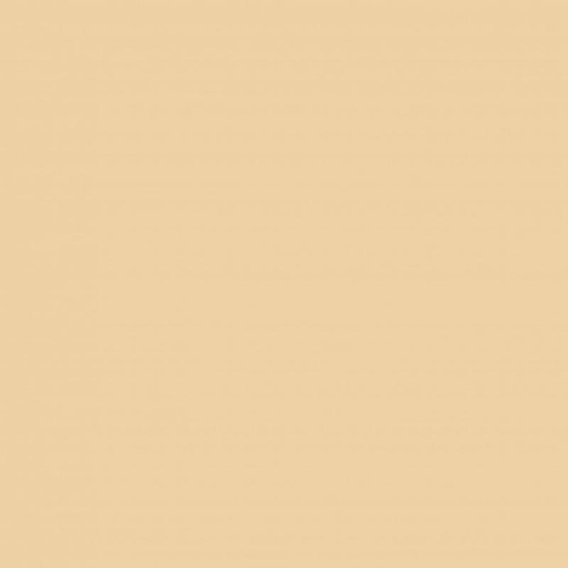 Revêtement d'étanchéité RIPOLIN - terrasse et balcon sable - 5L - colmate fissures et résiste aux intempéries_1