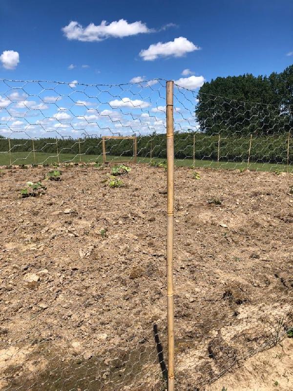 Grillage galvanisé - 1,2 m x 50 m - souple et rigide - mailles 2,5 cm x 2,5 cm - protection contre les lapins_1