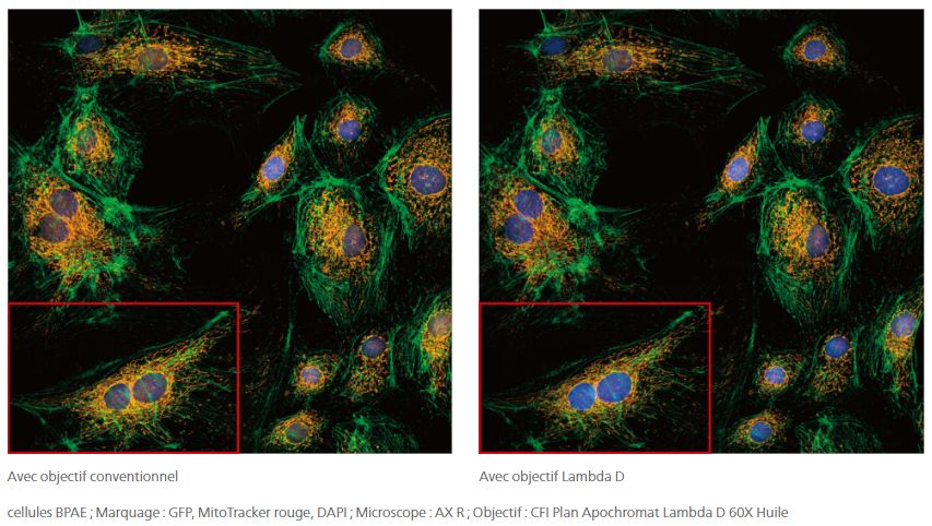 Objectifs : série cfi plan apochromat lambda d_1