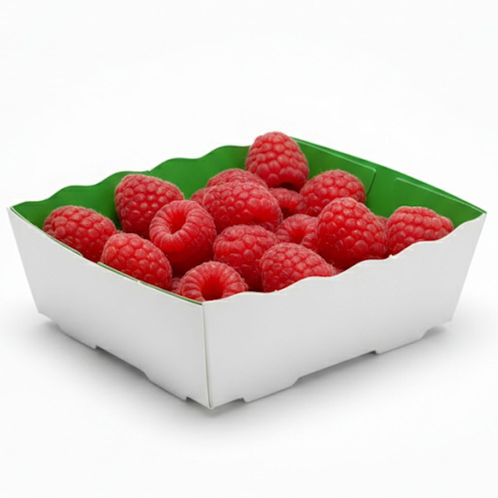 Barquette Carton Vert/Blanc 125g - Sans Impression - Lot de 1000_1