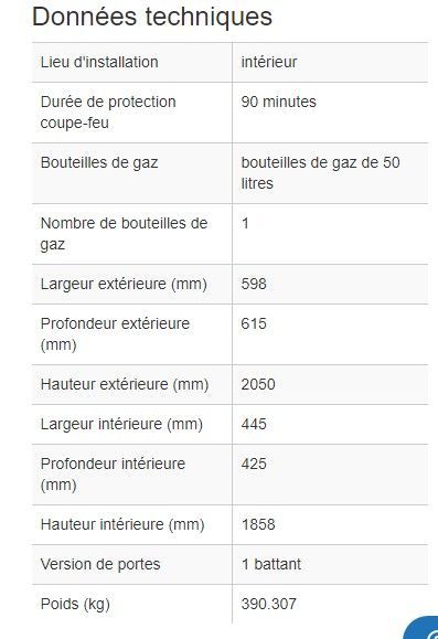 165311W - Armoire de sécurité coupe-feu G90.6 pour bouteilles de gaz - Norme EN 14470-2 - Résistance 90 minutes_1