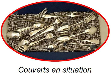 Lave-couverts brunisseuse sécheuse - IT 500-S / IT 500 - adapté à tous les types de couverts (inox, argenté)_1