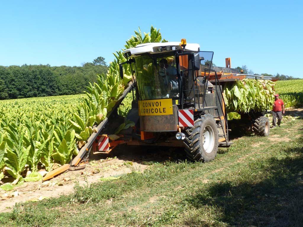 Recolteuse de tabac - somaref - vitesse de récolte 2 ha/j_0