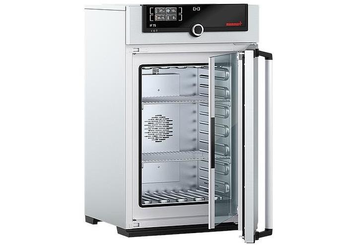 Etuve MEMMERT UF 75 avec convection forcée 300°C_1