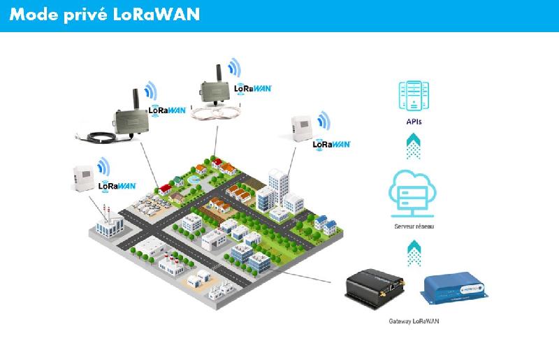 Capteur LoRa (WAN) pour Compteur d'Impulsions (Pulse) - TX PULSE 600-036_1