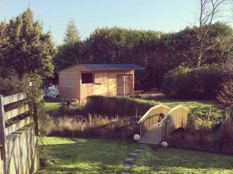 Box chenil - BOX036 - Fabrication française en bois Douglas, épaisseur 48 mm, isolation thermique_1