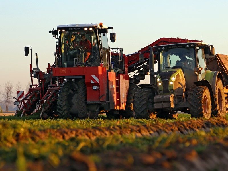 Arracheuse par préhension ZKIIS - Dewulf BV - productivité 3 à 4 ha/j - largeur totale 3290 mm - automotrice à 2 rangs avec élévateur de décharge_1