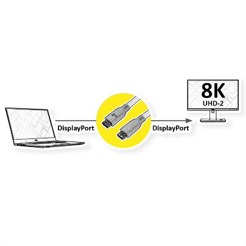 ROLINE RM Câble DisplayPort v1.4, DP M - DP M, noir, 5 m_1
