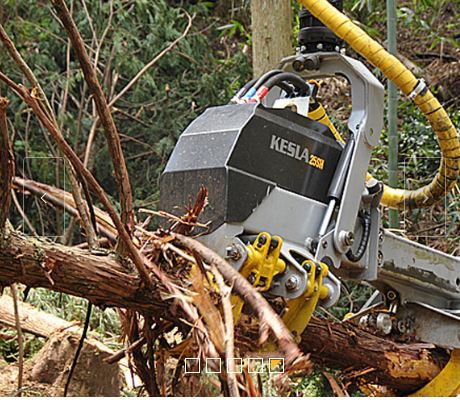 Tetes d'abatteuses kesla 25sh-ii_1