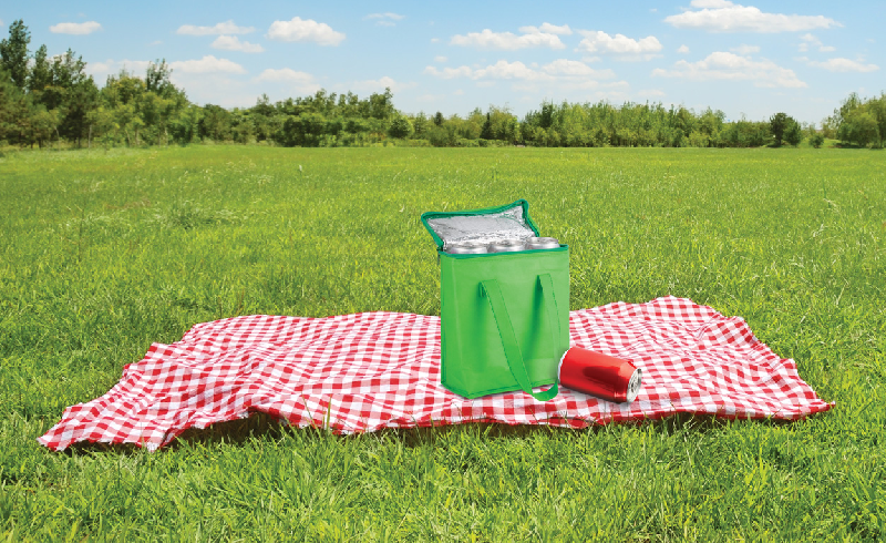 Sac isotherme en intissé - isolation aluminium - pour 6 canettes ou 3 bouteilles - couleur vert_1