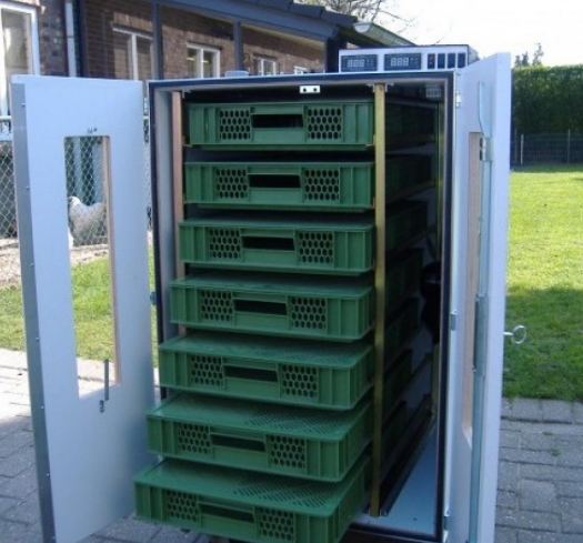 Éclosoir pour les 3 derniers jours d'un cycle d'élevage - Capacité 700 œufs - Réf. BDM06-ET_1