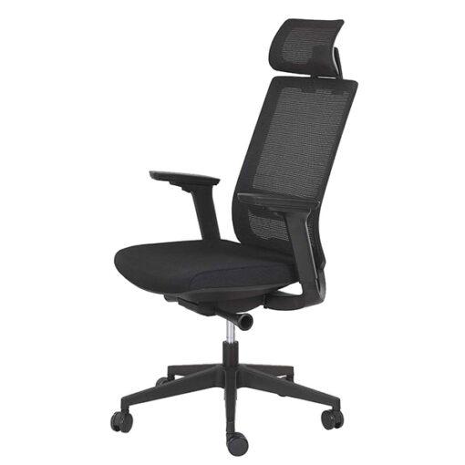 Fauteuil de bureau ergonomique CARLO - neuf - accoudoirs 4D, maille noire, soutien lombaire réglable, appui-tête réglable_1