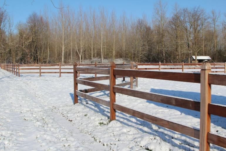 Royal Tropic Modern - clôture en bois tropical dur pour chevaux - 1m20 - Sutter Naturally_1