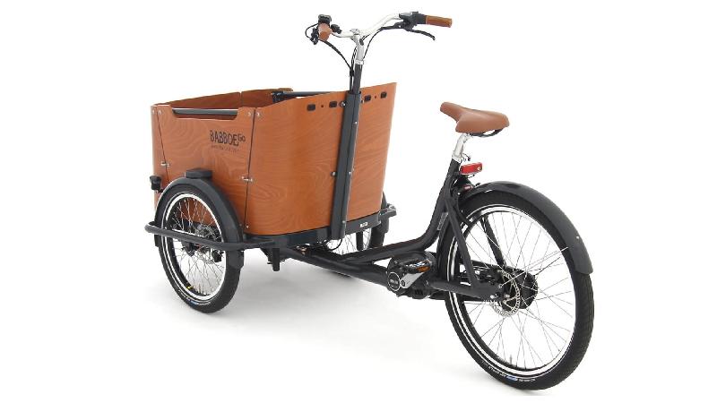 Triporteur électrique Babboe Go Mountain - moteur Yamaha, boîte Enviolo Nu Vinci, autonomie 20-50 km_1