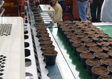 Convoyeur de tri Javo JOR - rapide et efficace pour pots et plateaux - capacité jusqu'à 3000 pots/heure_1