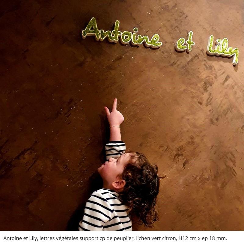 Logo ou Lettres Végétales - Lettres, Mousse pour l'intérieur uniquement, Vert naturel, 19 mm_1