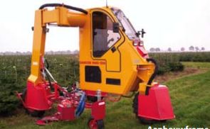 Tracteur enjambeur - Damcon - spécial sapin de Noël, 60 et 70 CV - rangs de 80 à 150 cm_1