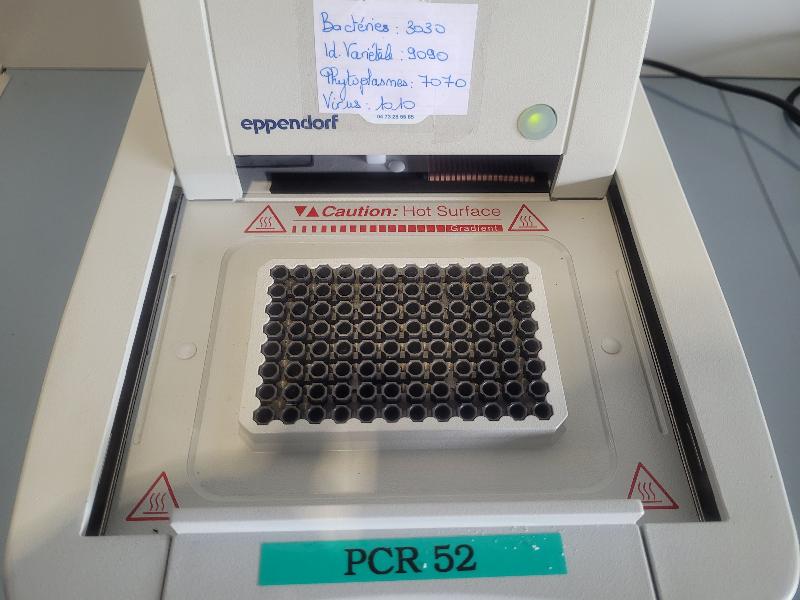 Thermocycleur Eppendorf 5341 Mastercycler epGradient avec panneau de commande 5340_1