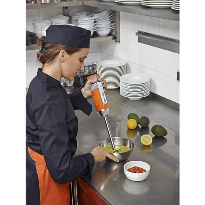 Mixeur plongeant Dynamix DMX 190 vitesse variable | Dynamic - MX090_1