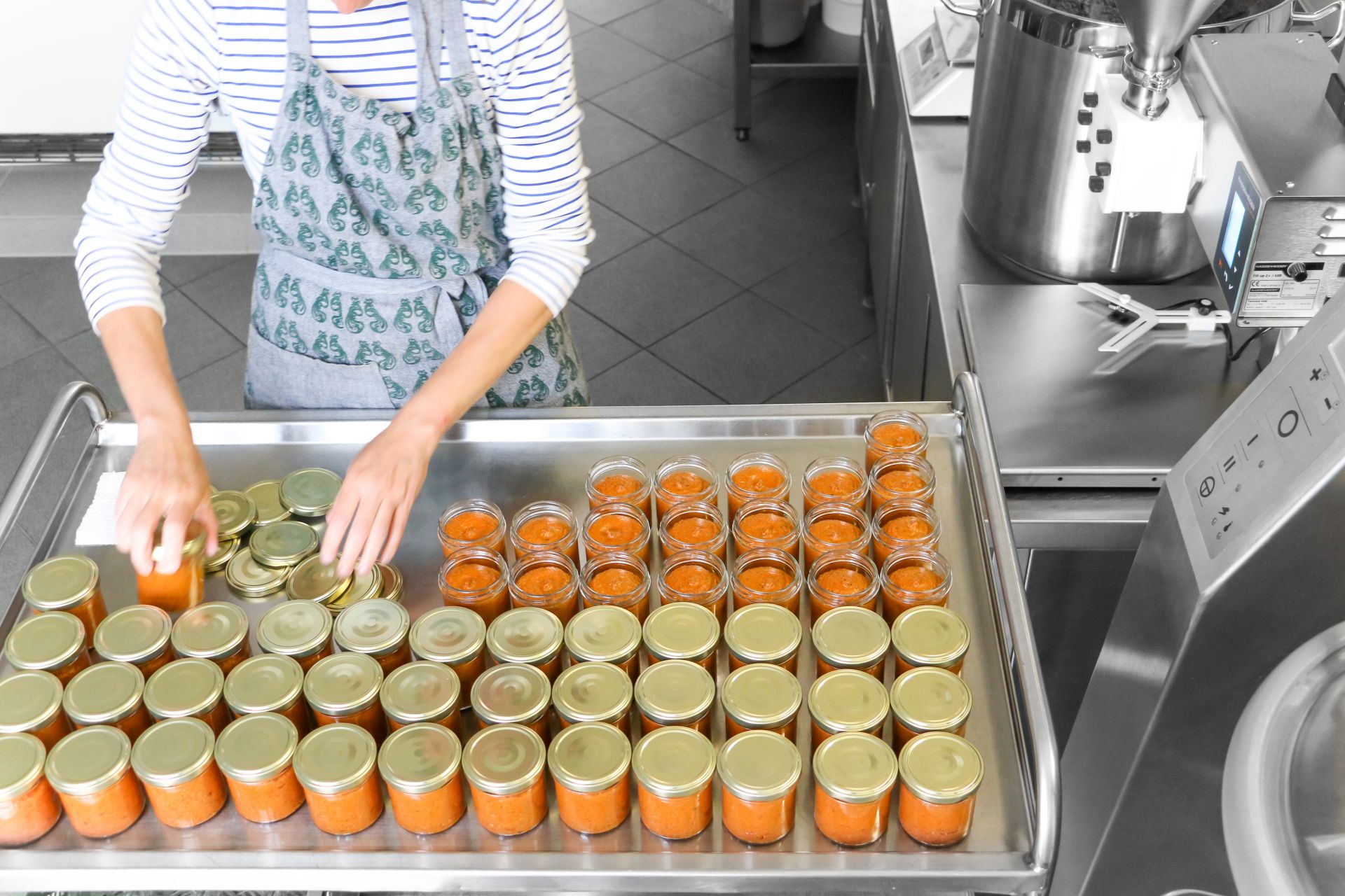 Remplisseuse de produits visqueux fgy05_1