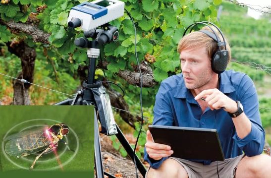 Vibromètre laser VibroGo® pour l'analyse dynamique et acoustique