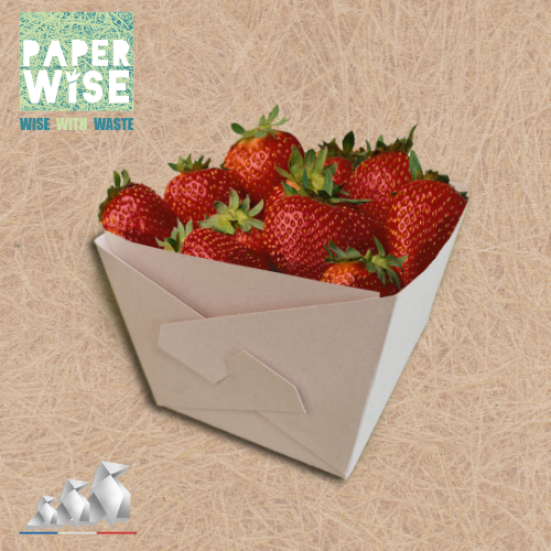 Barquette en carton écoresponsable - montage facile - pour fruits - Co Productions_1