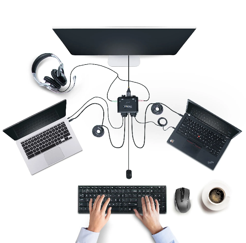 StarTech C2-D46-UC2-CBL-KVM  - Switchs et Hubs_1
