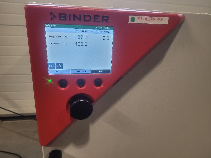Incubateur / étuve réfrigéré BINDER KB-115 avec convection forcée 100°C_1