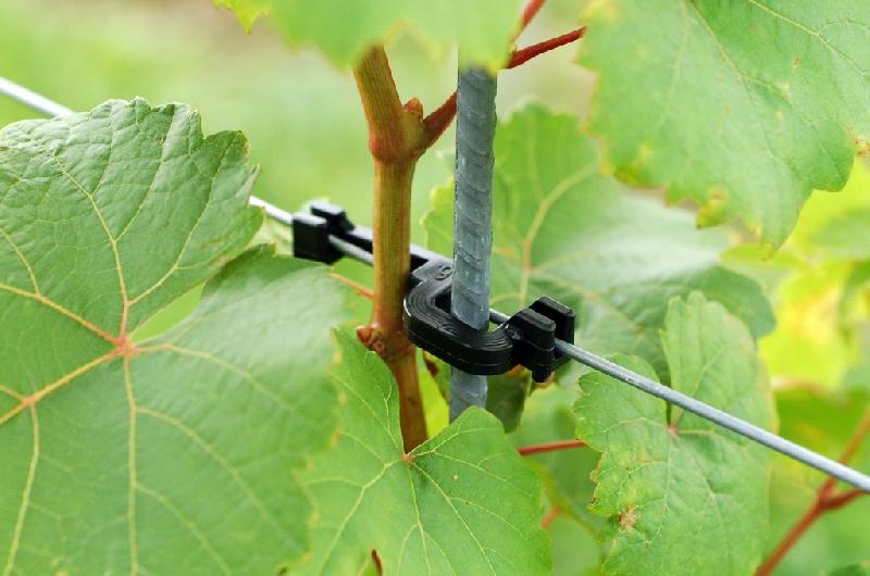 Clips Wellstabfix - fixation de tuteurs acier - 8mm - lot de 500 pièces_1