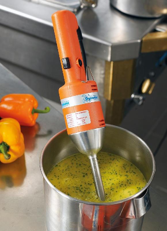 Mixeur plongeant Pied couteau 2 lames Dynamix Mini MD95 vitesse variable | Dynamic - MX008.V_1