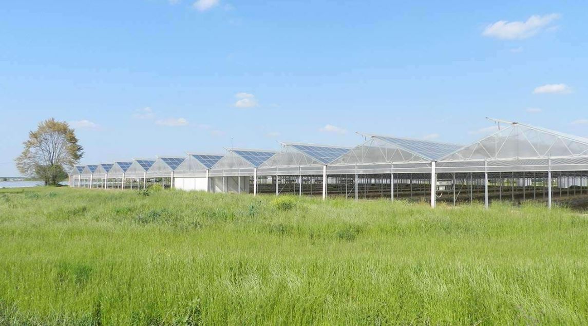 Serre photovoltaïque à faîtage droit et double pente - Multisunart_1