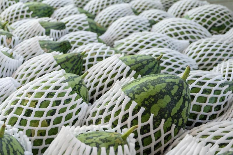 Filet Manchon Mousse en box - 420125_1