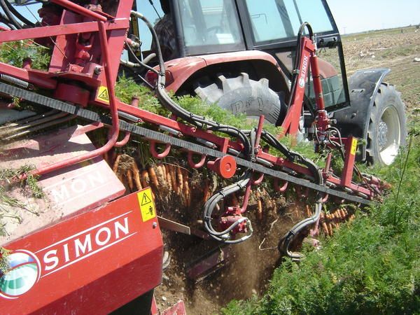 Récolteuse portée pour carottes à faible encombrement