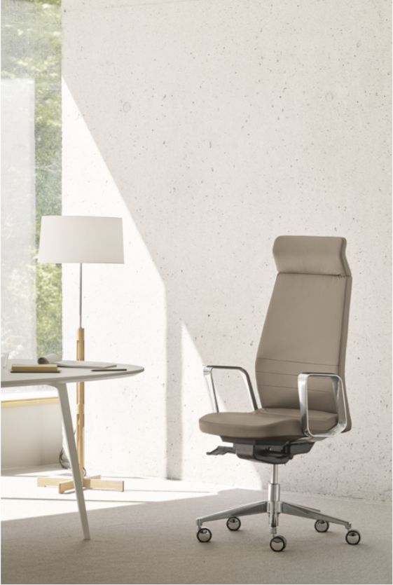 Eden 02 - Fauteuil de direction iconique au design radouci et teinte blanche élégante_1