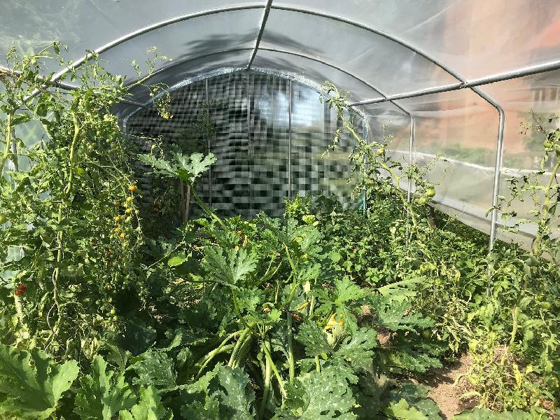 Serre tunnel 4 saisons 3 m en Polyéthylène - Aération latérale relevable - 13.5m², 115 kg, 4m50_1