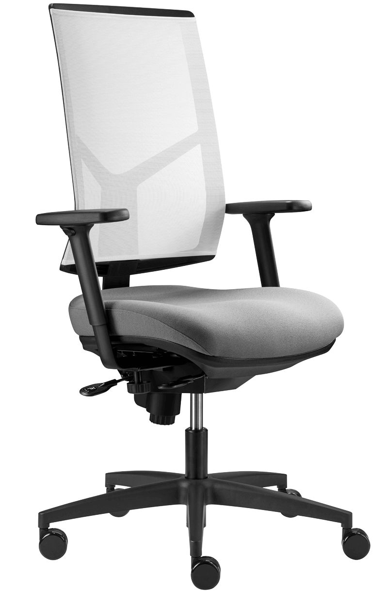 T4.1 RL - Chaise de bureau ergonomique Tergon - Hauteur d'assise réglable 42 à 54 cm avec système TwinComfort_1