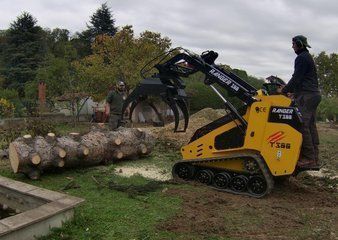 RANGER 300T avec moteur diesel Kubota 3 cylindres pour performance optimale