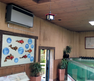 Déshumidificateur électrique fixe - Sovelor DRF 90 - évacuation jusqu'à 90L/jour, compact et silencieux_1