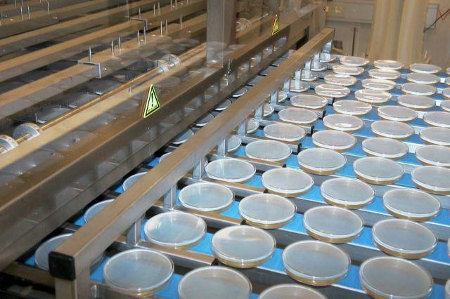 Équipements de laboratoires - hottes à flux laminaire, postes de pesées et paillasses - AVN_1