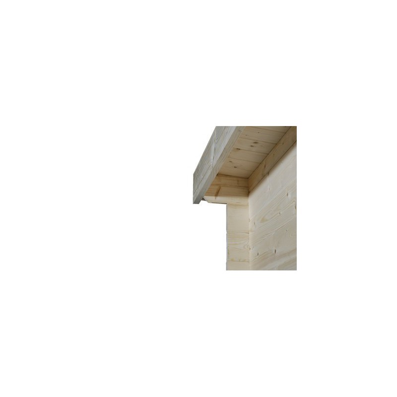 Garage simple en bois épicéa - 14,35 m² - toit plat - porte battante et latérale vitrée - 3,45 x 5,21 x 2,32 m_1