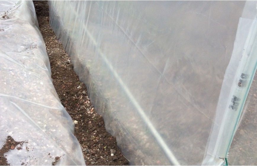 Film polyéthylène 200 microns pour serre tunnel_1