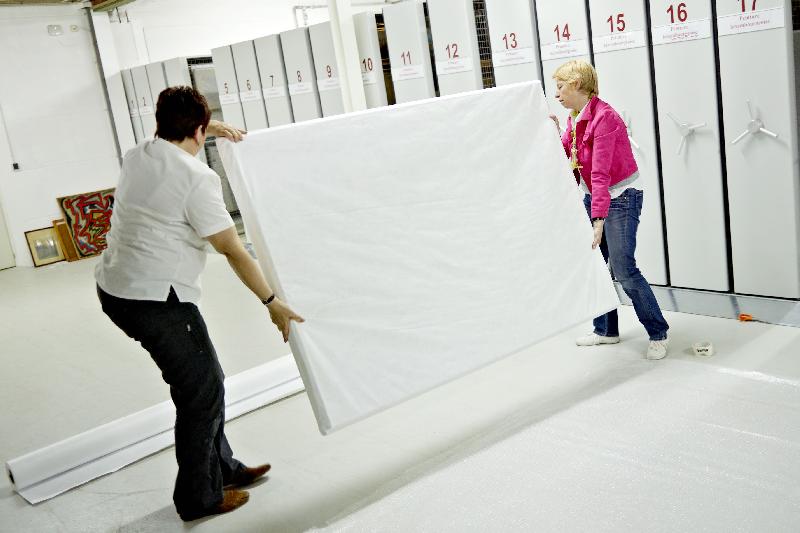 Rouleau Tyvek 1442r - 251539 – 2000 mm x 50 m_1