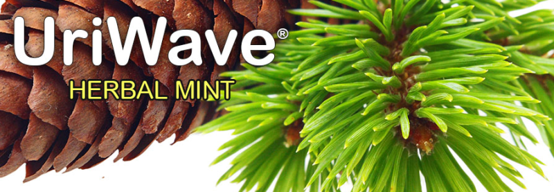 Uriwave grille urinoir desodorisante parfum menthe_1